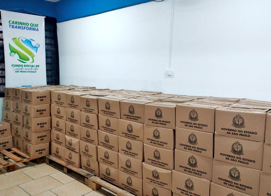 Fundo Social recebe 500 cestas básicas para famílias em vulnerabilidade social
