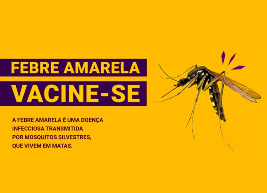 Saúde vai promover vacinação contra a febre amarela e contra a gripe durante a feira noturna nos dias 16, 23 e 30 de junho