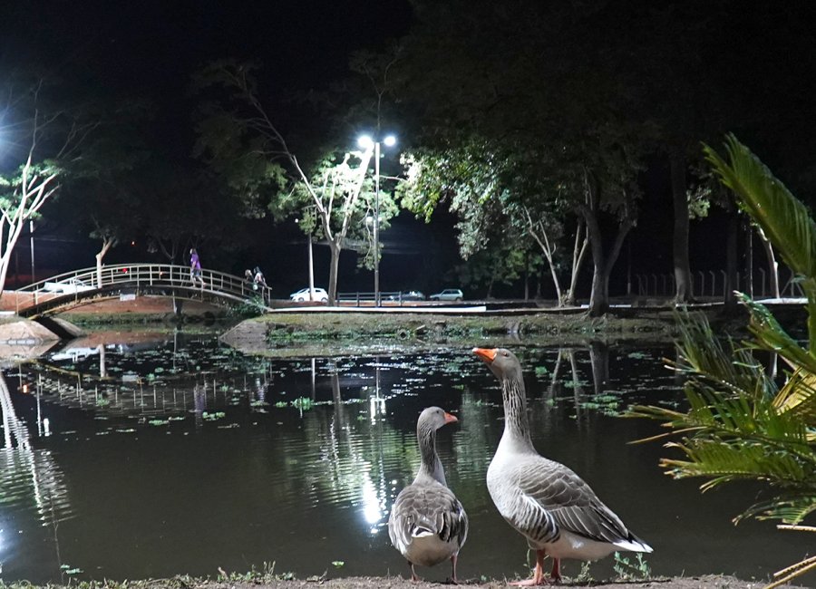 Pedalinho é reaberto com moderna iluminação em LED e de cara nova para toda população