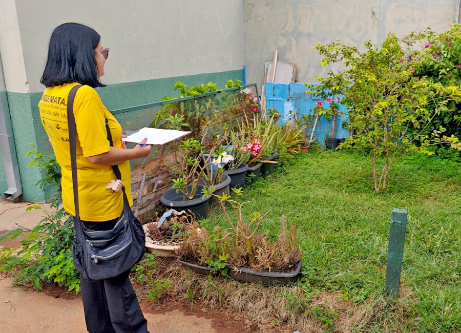 Proprietários de imóveis flagrados com criadouros da dengue podem ser multados