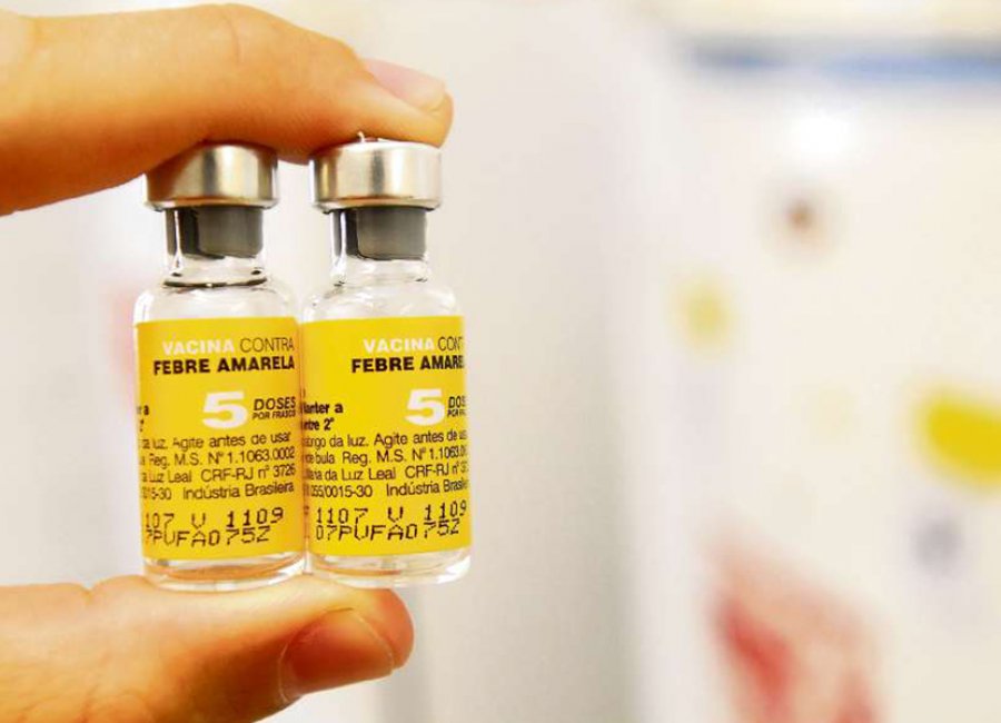 Saúde recomenda vacinação contra a febre amarela para as pessoas não imunizadas