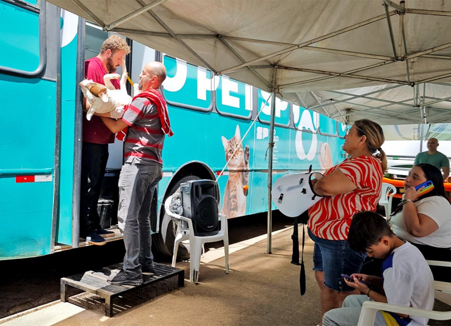 Castração gratuita de cães e gatos registra 275 procedimentos realizados 