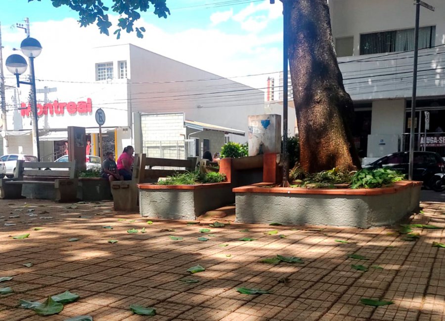 SSM realiza manutenção na praça Padre Armani 