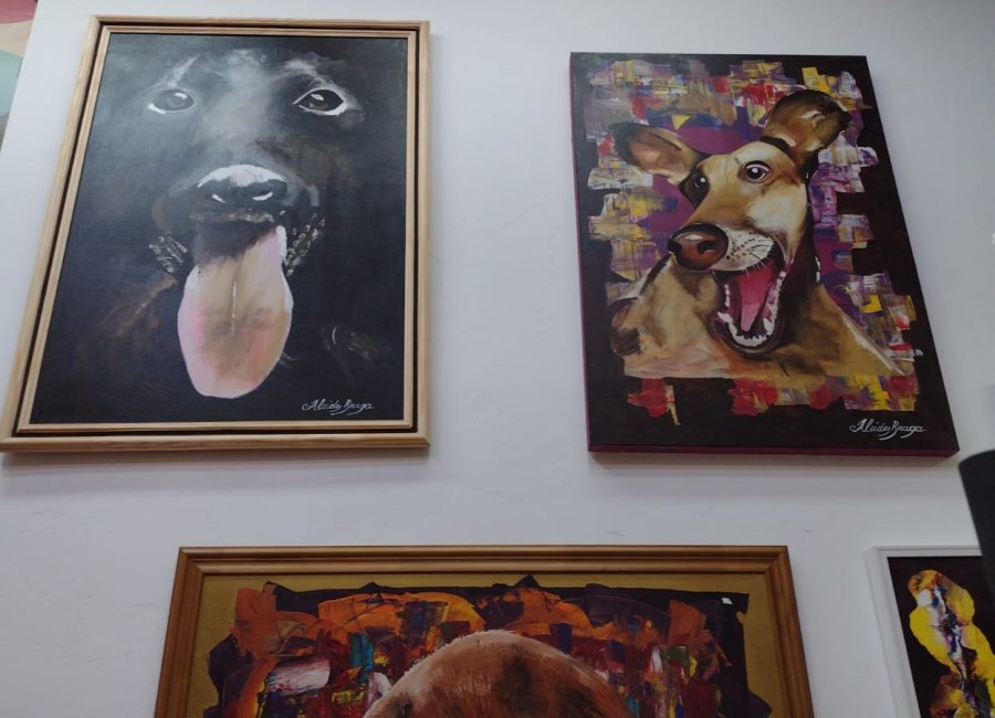 Alcides Braga irá expor trabalhos artísticos no Centro Cultural