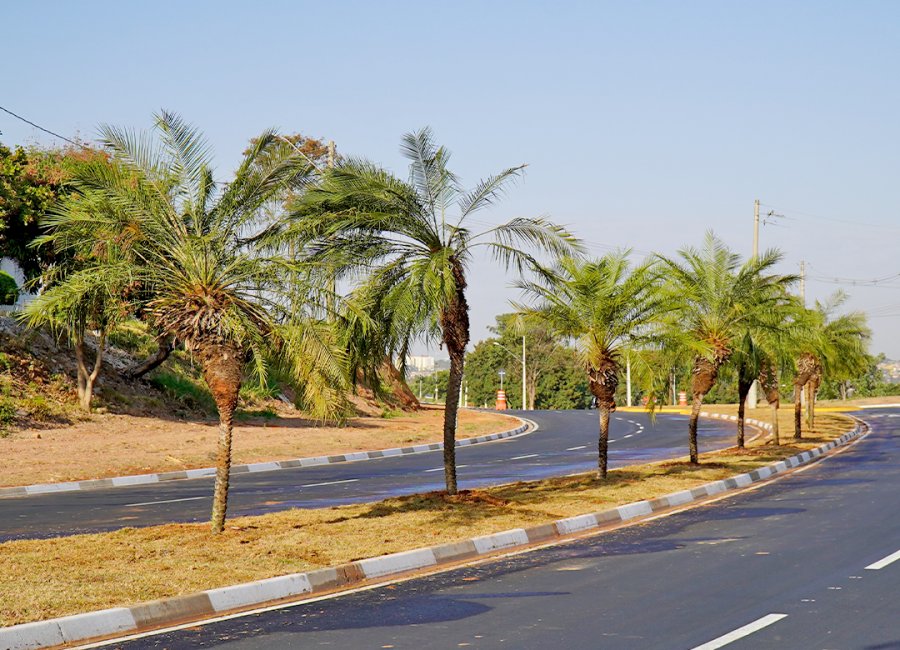 Novo paisagismo é feito na Avenida Luiz Gonzaga de Amoedo Campos