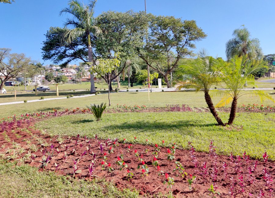 Prefeitura realiza novo paisagismo em espaços públicos da cidade