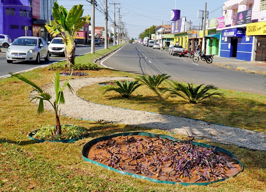 Rotatória na Avenida Bandeirantes recebe novo paisagismo